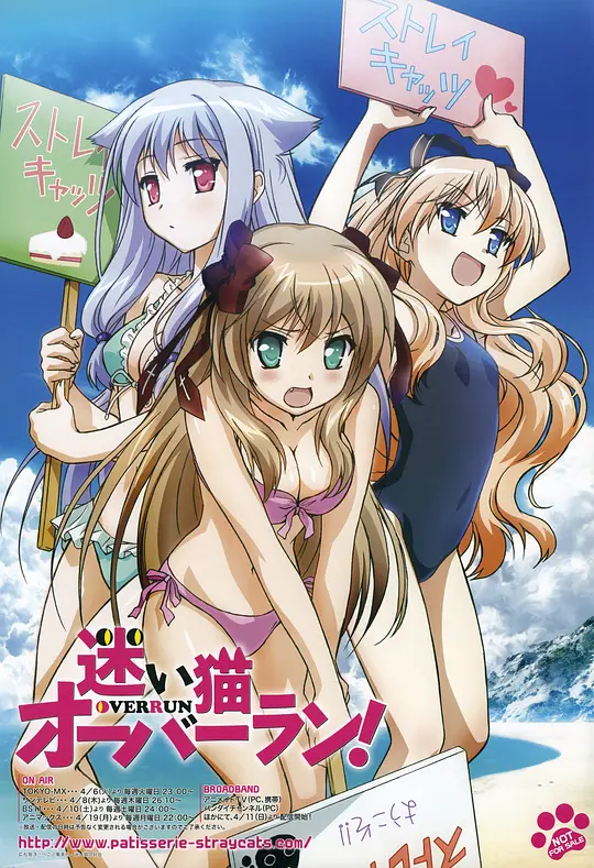 迷途猫OVER RUN海报图片